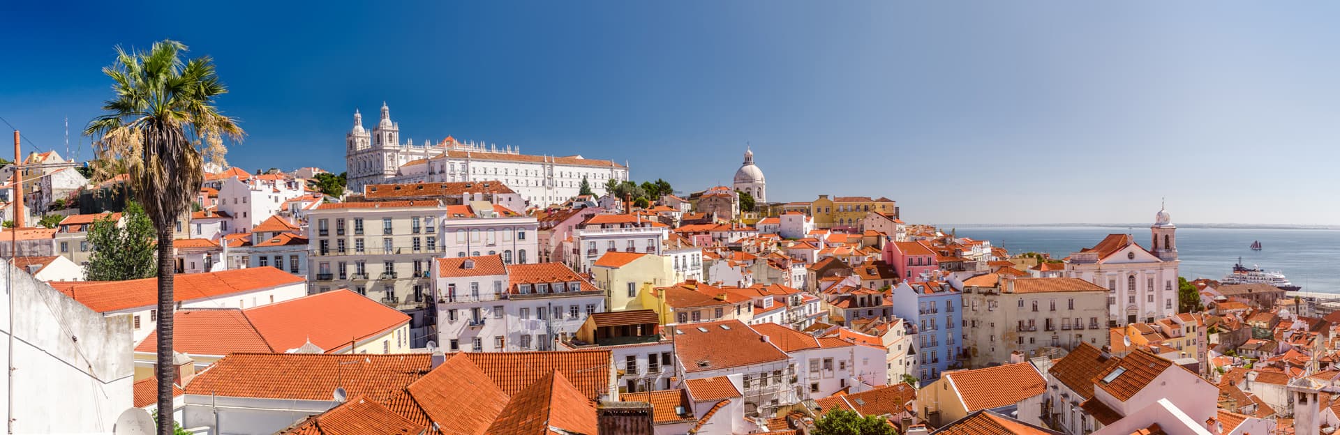 Empresas de despejo em Lisboa
